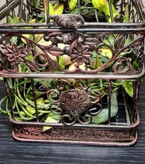 Vintage Decorative Metal Bird Cage French Country Cottage Decor w/Nest and Chick