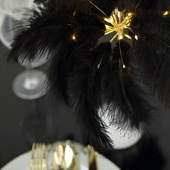 15″ Ostrich Feather LED TABLE LAMP Centerpiece Battery Operated Desk Light Party