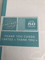 GARTNER STUDIOS THANK YOU CARDS PEARL WHITE CARDS Item 61506