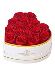 Eterfield 16 Forever Flowers in Heart Shape Box, Preserved 16 Roses, Red