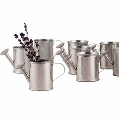Mini Metal Watering Cans 2″L x 2.25″H 12-Pack Garden Party Favors