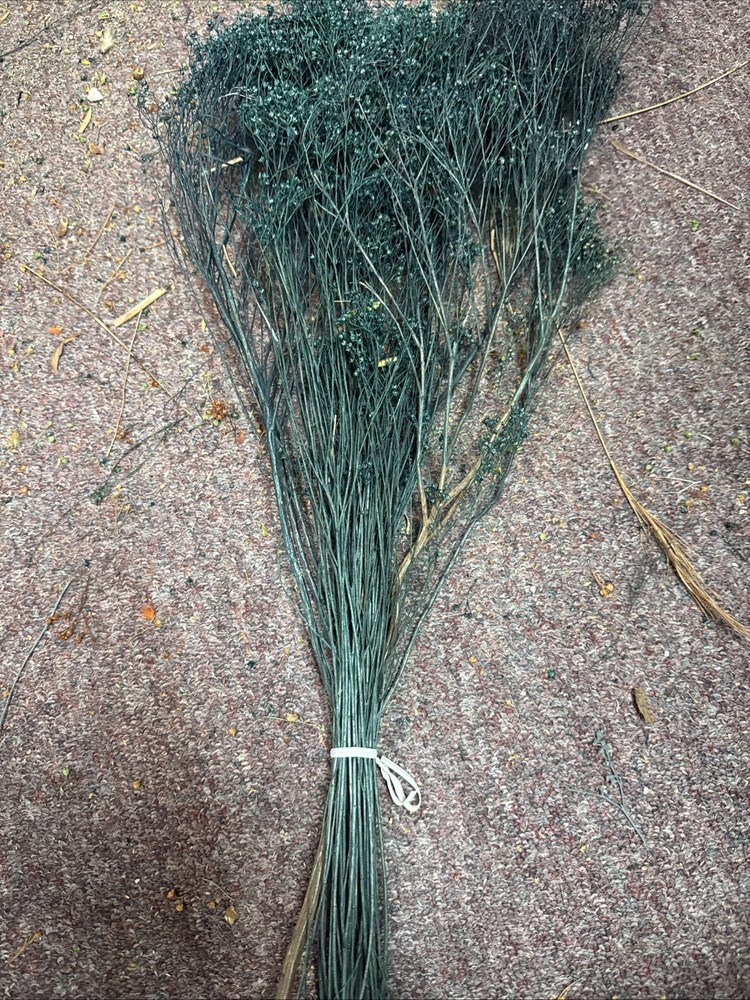 Dried Babys Breath (Dried Gypsophila) Dyed Bluish Color