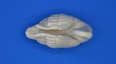 Lenox Classic Ivory Swan Place Card Holder Bridal Decor Weddings/Showers 2 1/2″