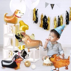 Walking Animal Balloons Pet Dog balloons – 6pcs Puppy Dogs Birthday Party Sup…