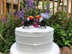 Toucan Cake Top Bride Groom Love Bird Wedding Engage Wood Statue Tropical