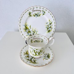 Vintage Royal Albert January Snowdrops Trio: 1970s Bone China Cup, Saucer, Plate