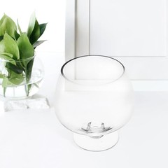 Clear Bubble Bowl Glass Fish Bowl Terrarium Globe Flower Vase Hydroponic Vase