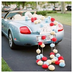 5pcs 6″-10″ Tissue Paper Wedding Baby Shower Birthday Party Pom Poms Toy