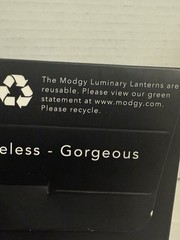 NEW Modgy Luminary Lanterns 4 Peacock Feather Not Opened Pool & Wedding Events