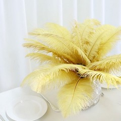 12 pcs 13-15″ long Gold Genuine Ostrich FEATHERS Wedding Party Centerpieces