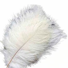 12 pcs 13-15″ long White Genuine Ostrich FEATHERS Wedding Party Centerpieces