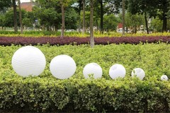 Everyday PLNT-10-FBA Round Paper Lantern (10 Pack), 10″, White
