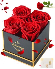 Changshunqi Forever Flowers, Preserved Roses in a Box, Eternal Rose Red