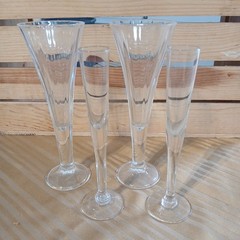 Champagne Flutes Trumpet And Slim Bride Amd Groom