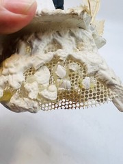 Vintage 1940s 1950s Wedding Cake Topper Bride Groom Bell Fabric Flower Arch
