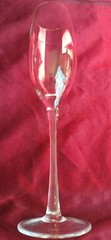 Wedding Champagne Toast Flute Gold Rim ( 1 ) Holds 9oz. No Brand 10″×2¾»SPOTLESS