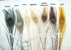 25 Peacock Feathers w/ Eyes 30-35″ L Bleached & dyed Your choice of 21 colors
