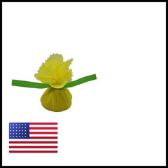 Regency Wraps Lemon Wraps Lemon Covers Yellow Green Ribbon 500 Count Wedge Bags