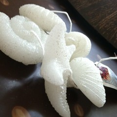 Hallmark Seashells Tea light Candles Beach Seaside Villa 5 White Shells Lot Set
