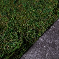 18×16-Inch Green Natural Preserved Moss Sheet Party DIY Crafts Supplies Event