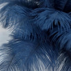 12 pcs 13-15″ long Navy Blue Genuine Ostrich FEATHERS Wedding Party Centerpieces