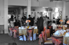 Wedding Venue Chair Sashes