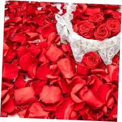 340 PCS Real Red Rose Petals, 3.17oz Dried Flower Confetti Red 3.17oz（90g）