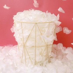 Versatile 1000 Pcs Ivory Silk Rose Petals for Weddings, Showers & Celebrations