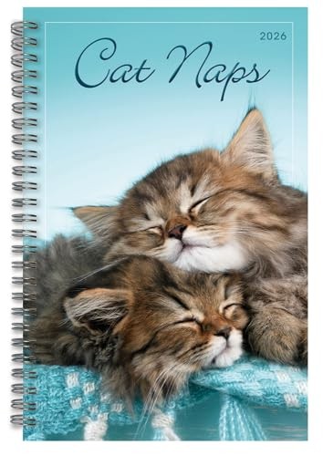 2026 Weekly & Monthly Planner, 16-Month Engagement Calendar: September Cat Naps