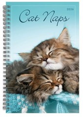 2026 Weekly & Monthly Planner, 16-Month Engagement Calendar: September Cat Naps