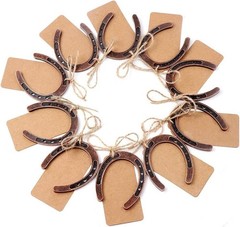 30PCS Sturdy Bronze Horseshoe Favors – Perfect for Rustic Weddings & Events