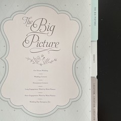 Wedding Planner & Organizer Hardcover Mindy Weiss Ring Binder Illustrated New