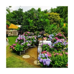 Metal Garden Arbor Wedding Arch 95.3″ H x 45″ W, Heavy Duty Rustproof Iron Pe…