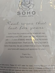Soho Floral Arts | Roses In A Box | Genuine Roses that Last for Years Black S…