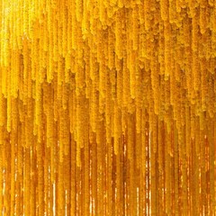 Krati Exports 5 PC – 5 feet Marigold Garland 5, Golden Yellow (Light Orange)