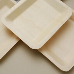 5″ x 4″ Natural Sustainable Bamboo Mini Rectangular Plates Disposable Tableware