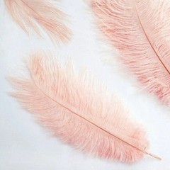 12 pcs 13-15″ long Rose Gold Genuine Ostrich FEATHERS Wedding Party Centerpieces