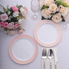BLUSH ROSE GOLD 10 Round 10″ Plastic Dinner PLATES Spiral Rim Design Party