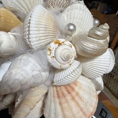 Natural Seashell Wedding Bouquet, Forever Keepsake, Beautiful One Of A Kind