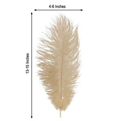 12 pcs 13-15″ long Beige Genuine Ostrich FEATHERS Wedding Party Centerpieces