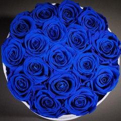 Prifroti 17 Flowers in a Luxury Suede Box, Birthday 17 Roses, Royal Blue
