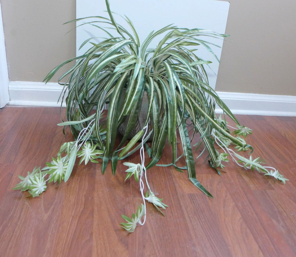 2 Bunches Chlorophytum Grass Vine Artificial Plants Spider Hang (50 leaves each)