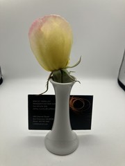 Bud Vase Place Card Photo Nametag Holder White Ceramic X 8 CHIPS SEE PICS USED