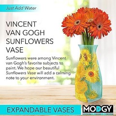 Collapsible and Expandable Plastic Flower Vase, Unbreakable, Foldable,