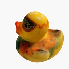 Mini Rubber Ducky Hipster Couple Pair Duckies Lot 2