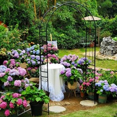 SCENDOR Metal Pergola Arbor, 95.3″ H x 45″ W Garden Wedding Arch Curved Black