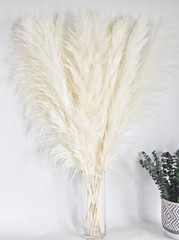 10 Stems 46″ inch White Ppas Grass Decor Tall, Lar Pompas Grass, Boho