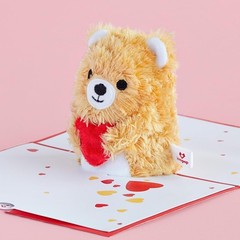 Lovepop Plushpop Soft Animal Pop-Up Card for Her and Him – 3D Bear Everyday G…