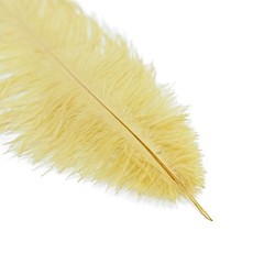 12 pcs 13-15″ long Gold Genuine Ostrich FEATHERS Wedding Party Centerpieces