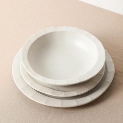 Stone Lain Oasis Stoneware Plate Dish Set 4-Piece Dinner Plates – Ceramic